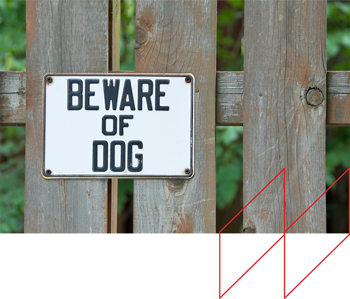 Dog Bite Injury Lawyer